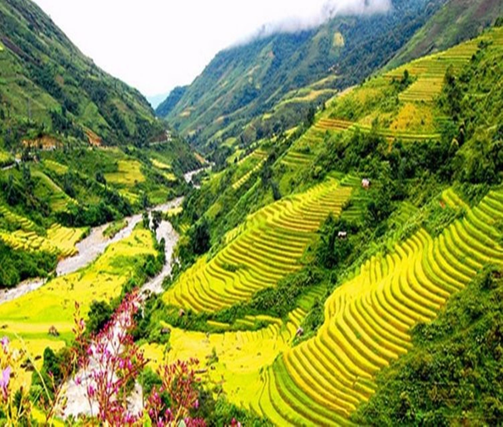 Sapa Mountain Queen House Hotel Exterior photo